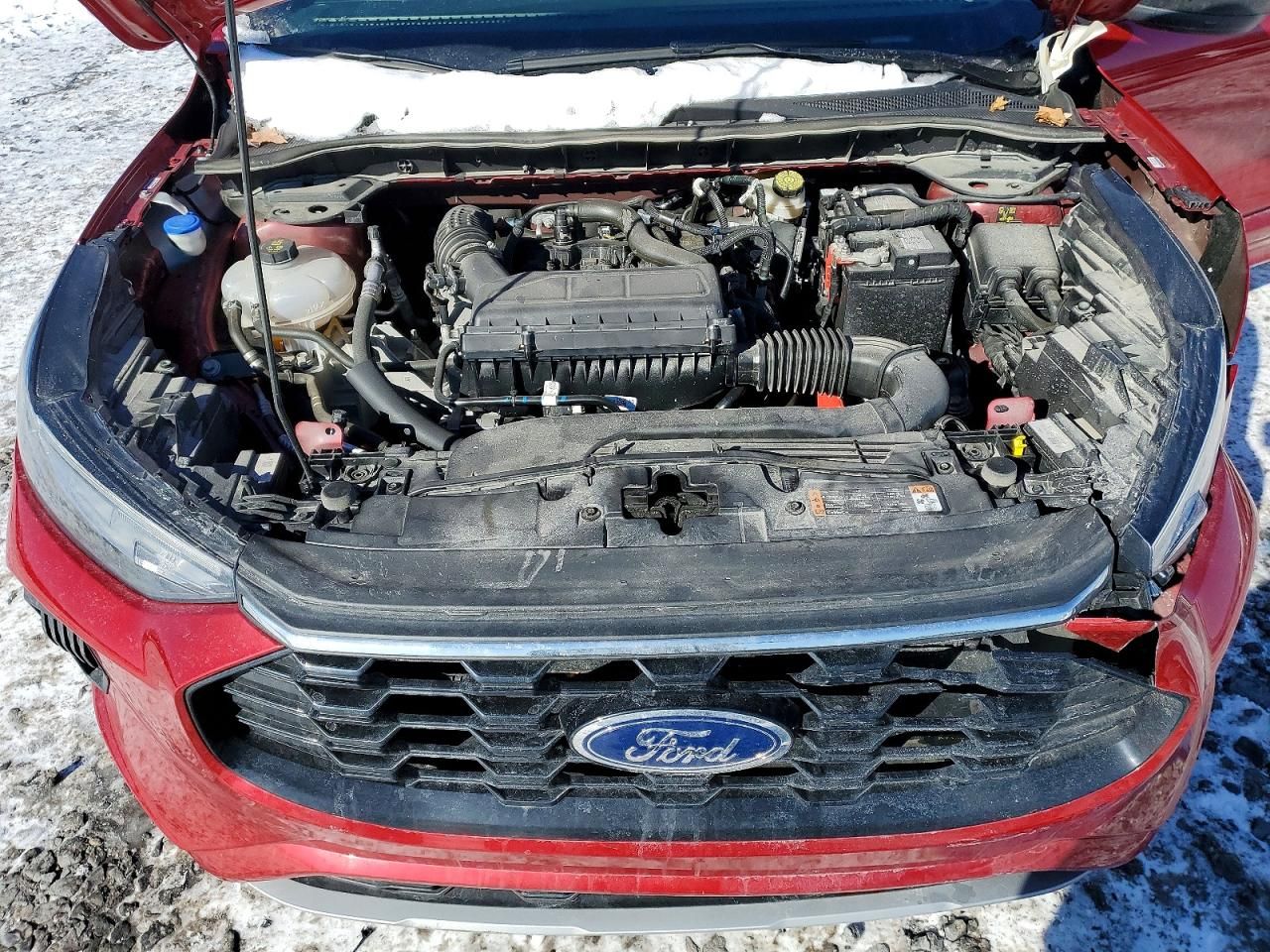 2024 Ford Escape st Line