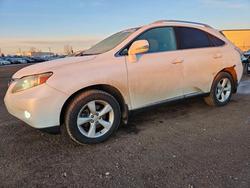 Lexus salvage cars for sale: 2010 Lexus Rx 350