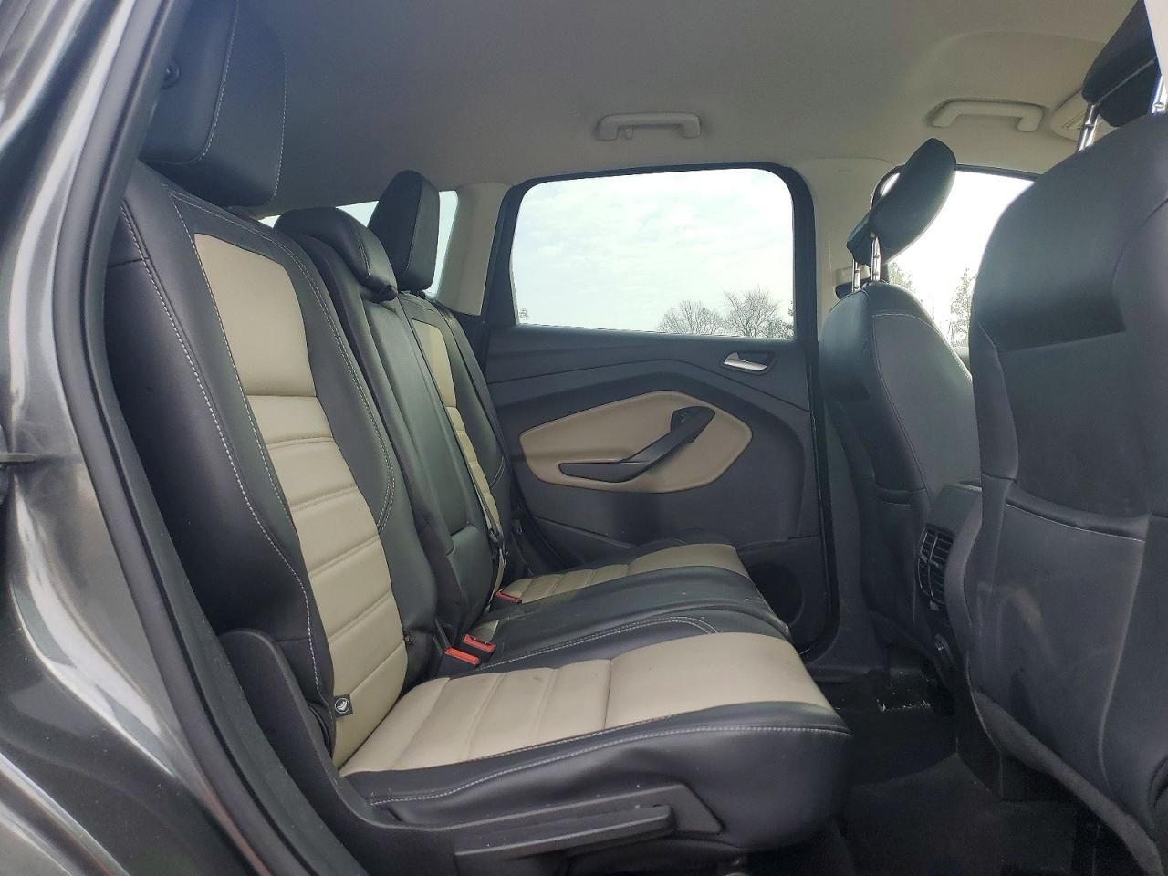 2019 Ford Escape sel