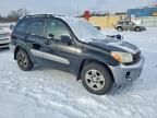 2003 Toyota Rav4 Base