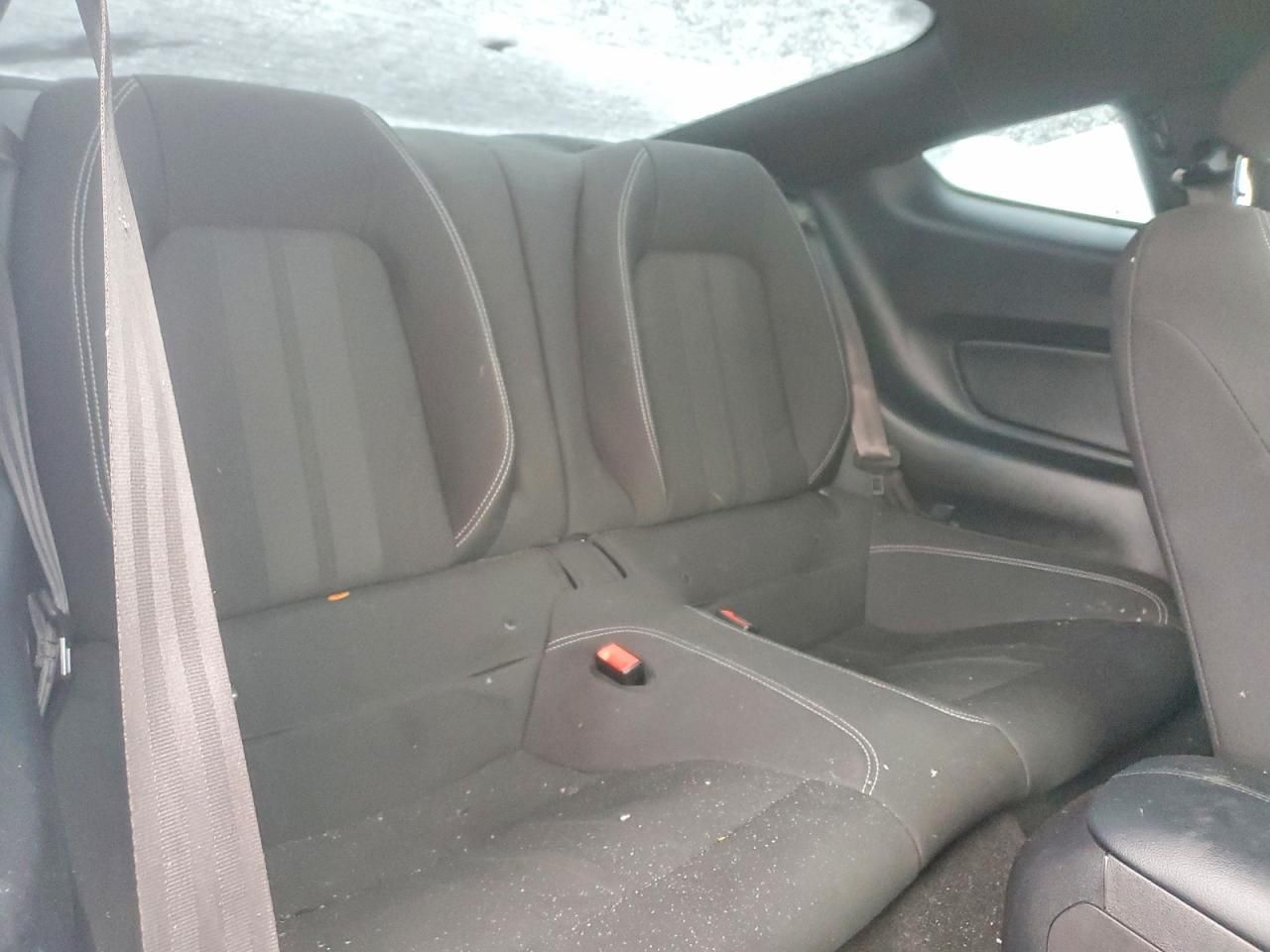 2019 Ford Mustang gt