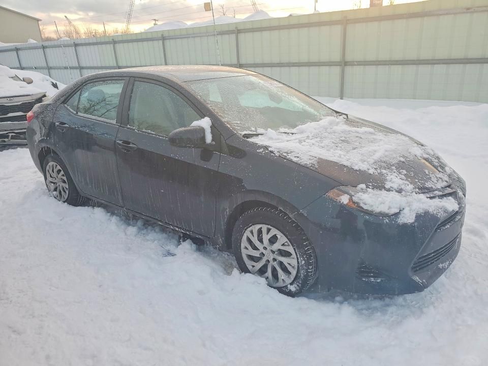 2019 Toyota Corolla l