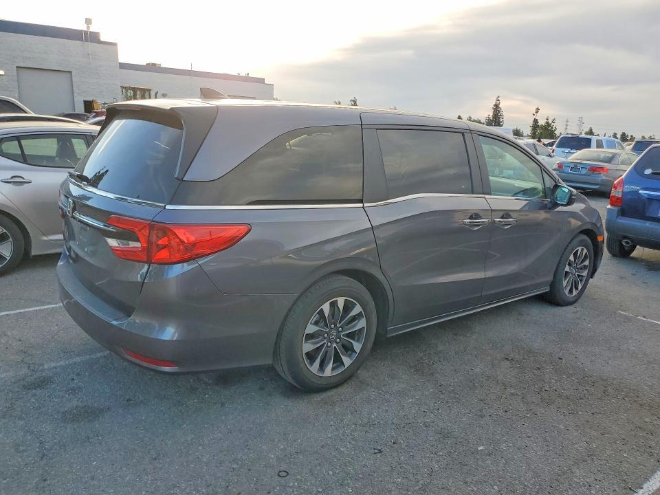 2024 Honda Odyssey exl
