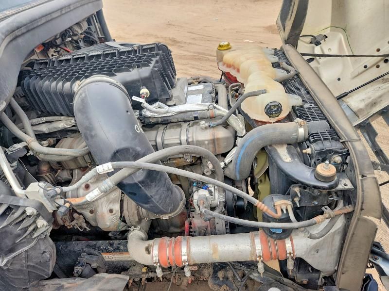 2021 Freightliner Cascadia 126