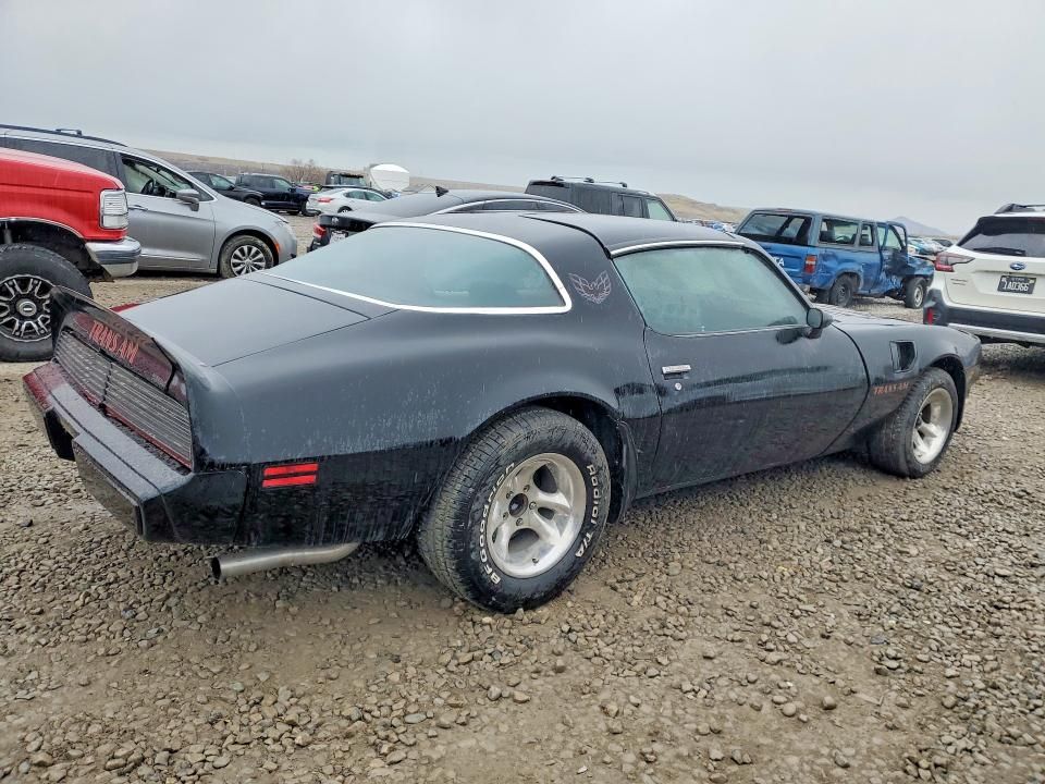 1981 Pontiac Firebird Trans am