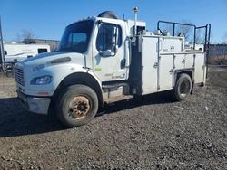 Freightliner Vehiculos salvage en venta: 2010 Freightliner Business Class M2 Utility / Service Truck