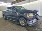 2025 Ford F150 xlt