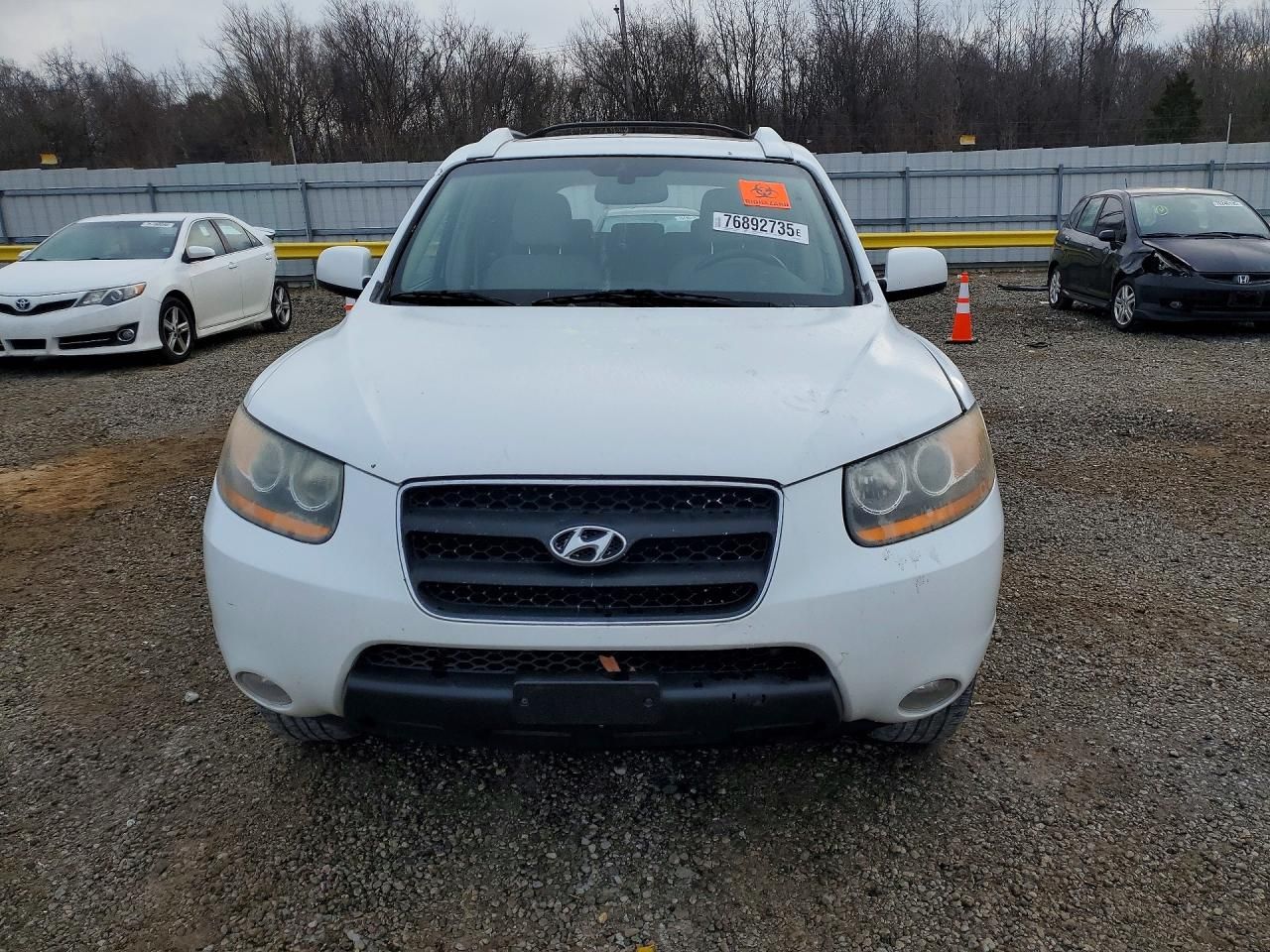2009 Hyundai Santa fe se