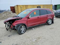 Honda salvage cars for sale: 2011 Honda Cr-v exl