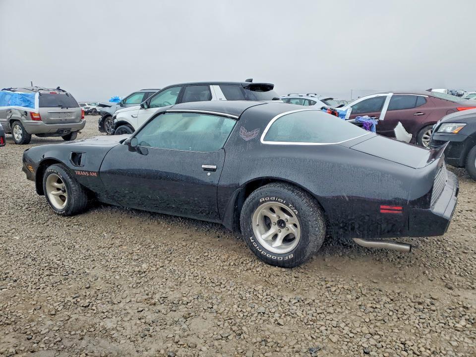 1981 Pontiac Firebird Trans am