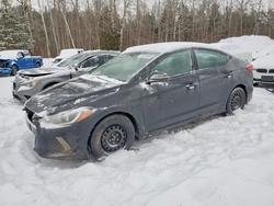 Hyundai Elantra salvage cars for sale: 2017 Hyundai Elantra se