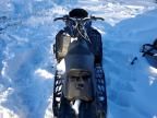 2020 Skidoo 2020 Skid MXZ TNT 600R