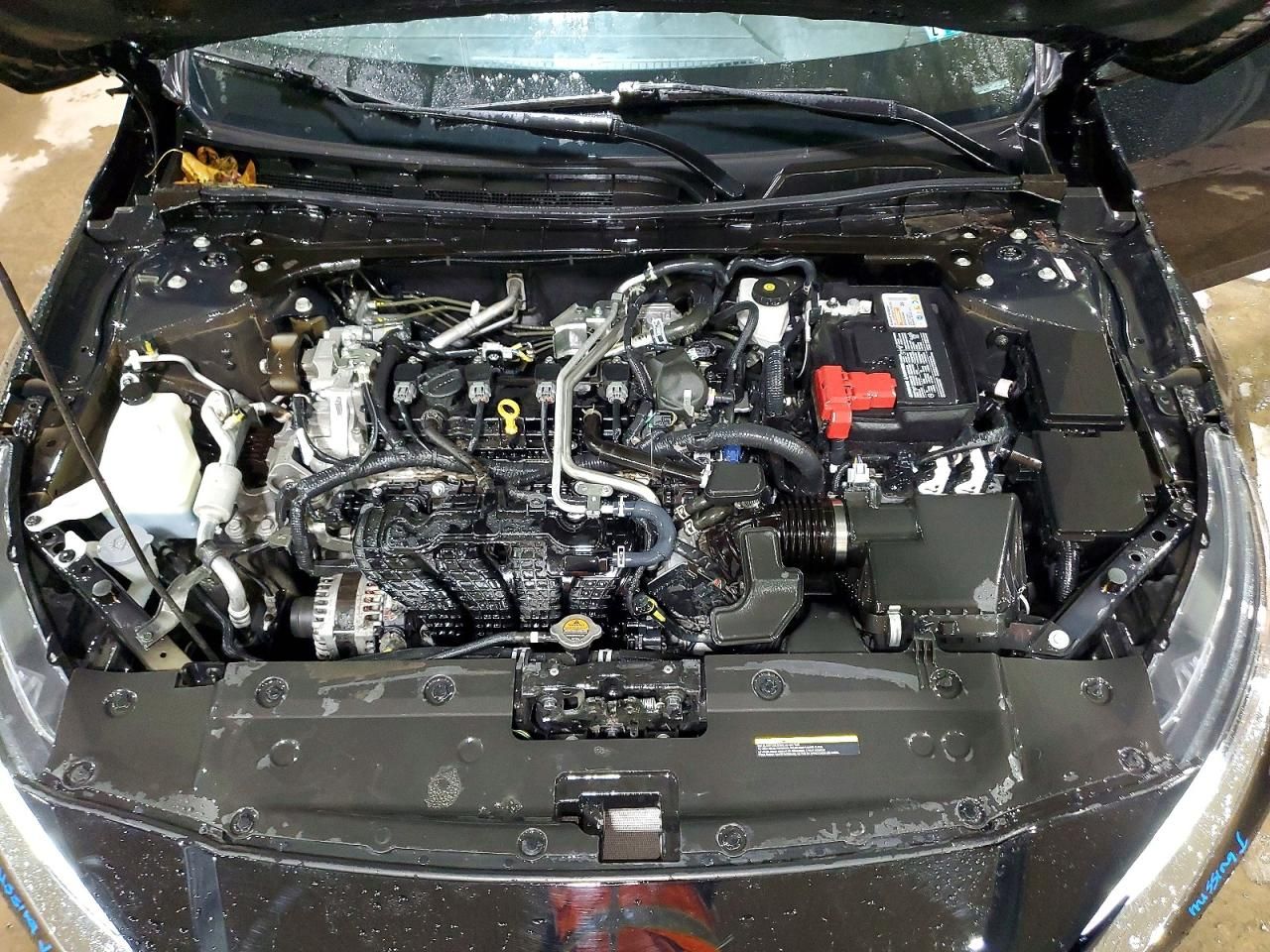 2024 Nissan Altima sv