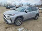 2025 Toyota Rav4 Hybrid awd 4D suv xle