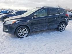 Ford Vehiculos salvage en venta: 2015 Ford Escape Titanium