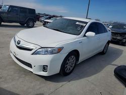 Toyota salvage cars for sale: 2011 Toyota Camry Hybrid