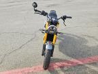 2024 Triumph Speed 400