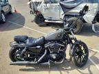 2019 Harley-Davidson XL883 N