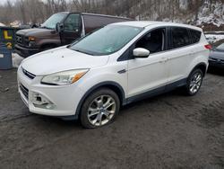 2013 Ford Escape sel en venta en Marlboro, NY