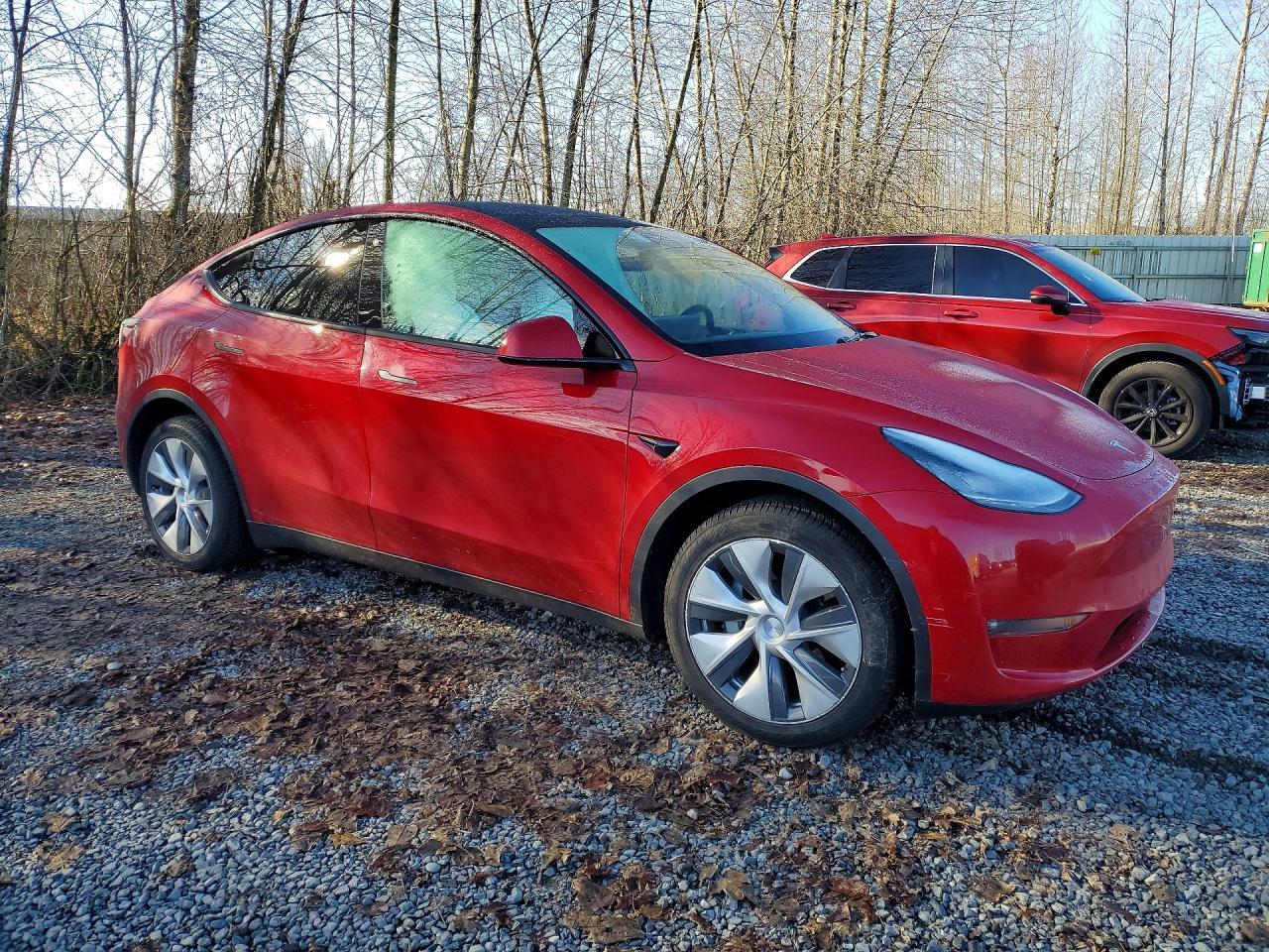 2021 Tesla Model y