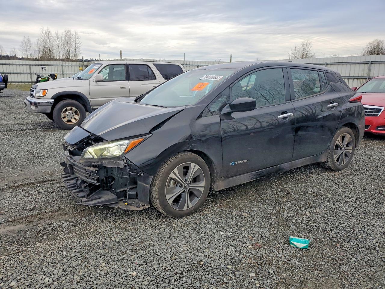 2019 Niss Leaf sv
