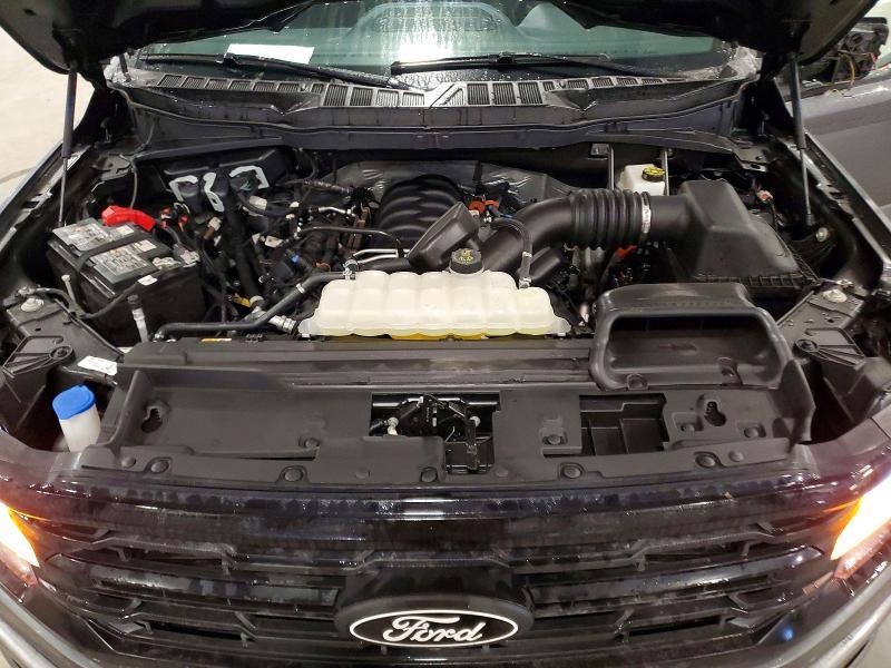 2025 Ford F150 xlt