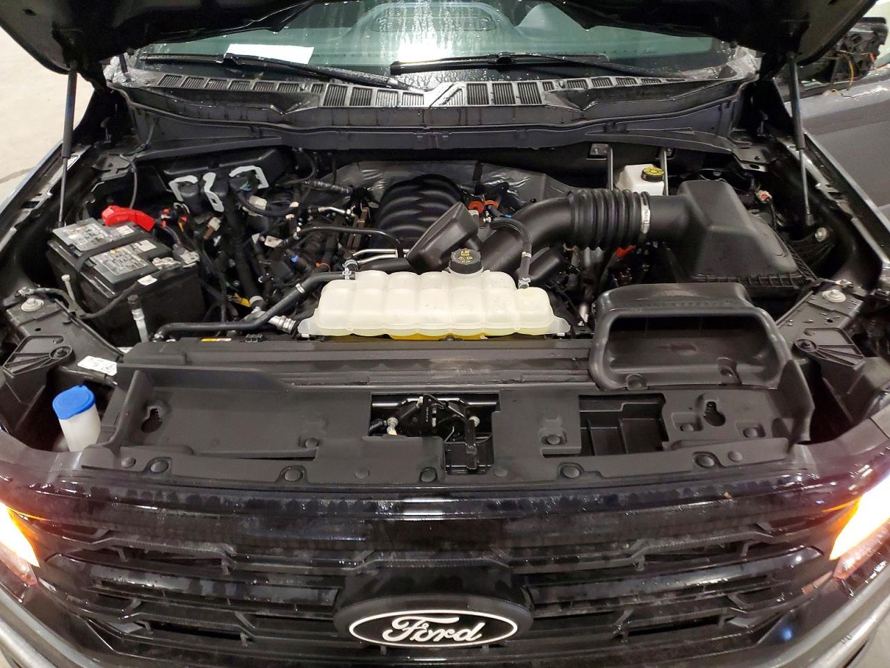2025 Ford F150 xlt