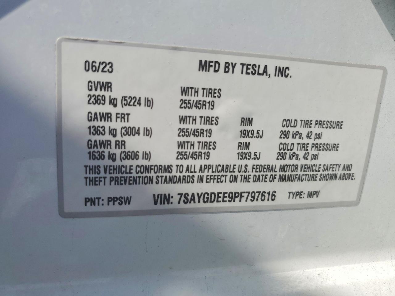 2023 Tesla Model y
