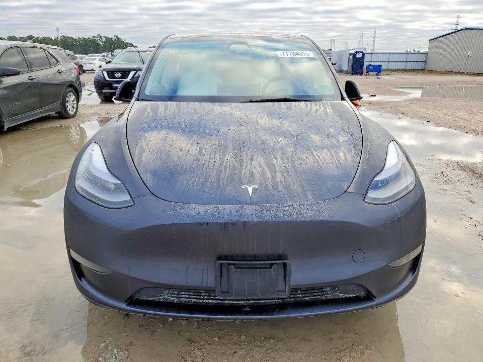 2025 Tesla Model y
