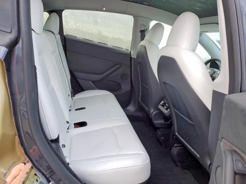 2025 Tesla Model y