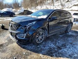 Cadillac salvage cars for sale: 2021 Cadillac XT5 Premium Luxury