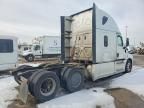 2019 Freightliner Cascadia 126