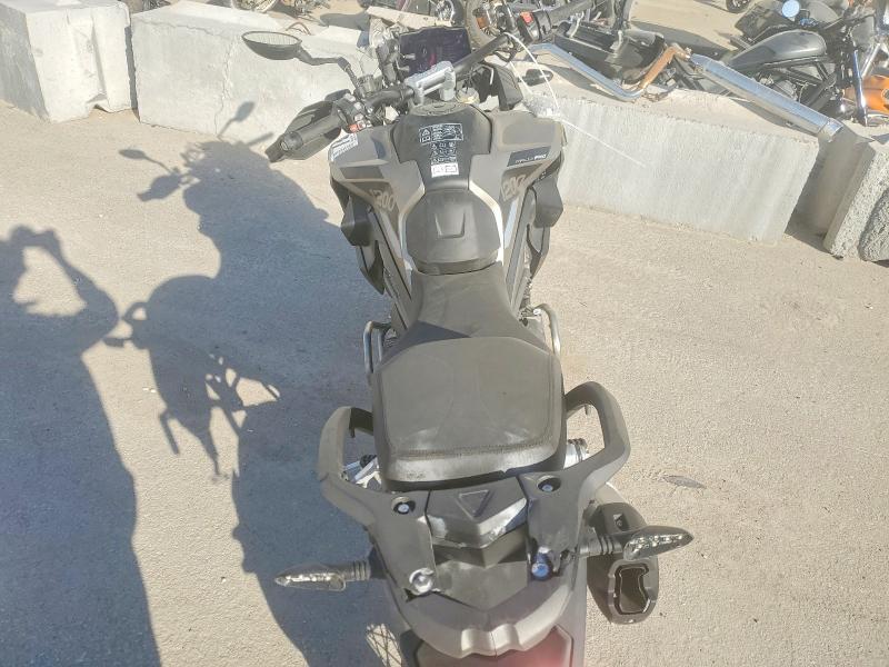 2025 Triumph Tiger 1200 Rally PRO