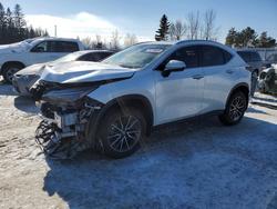Lexus Vehiculos salvage en venta: 2024 Lexus Nx 350 Premium