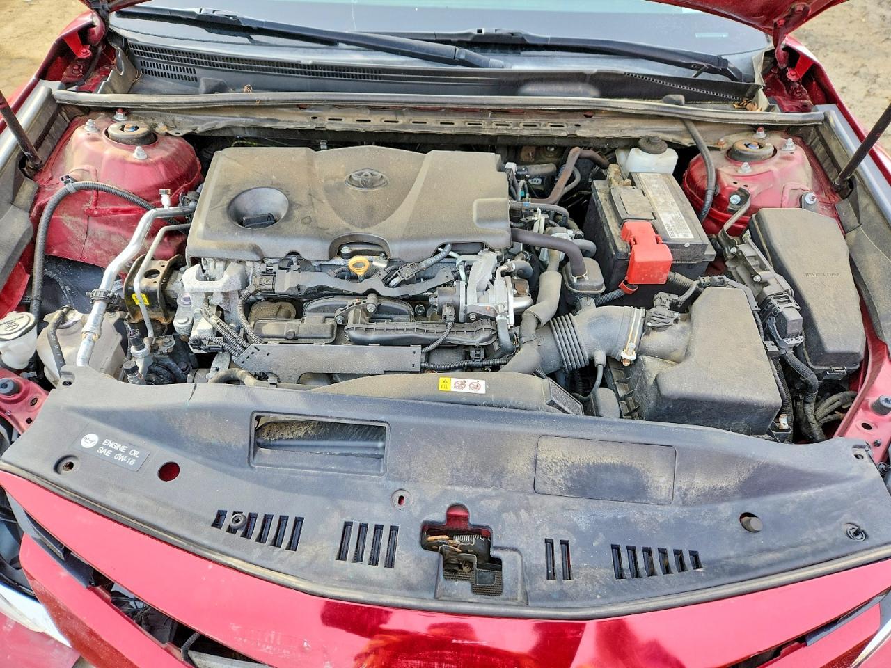 2019 Toyota Camry l
