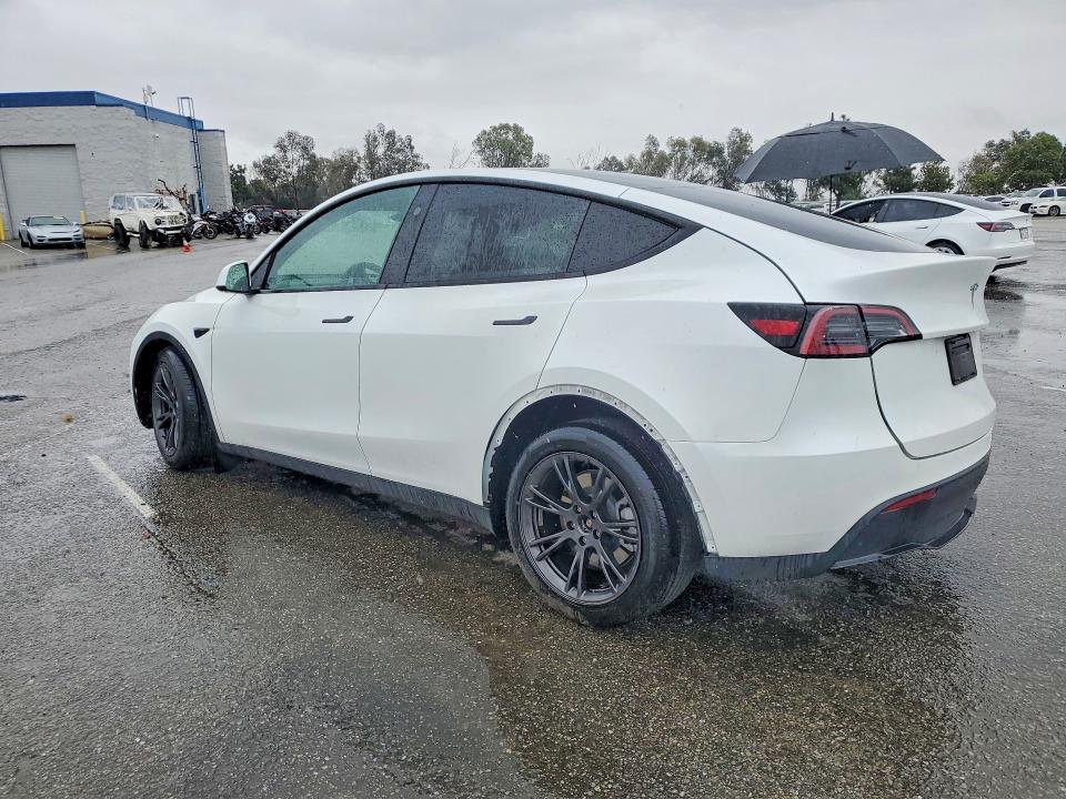2025 Tesla Model y