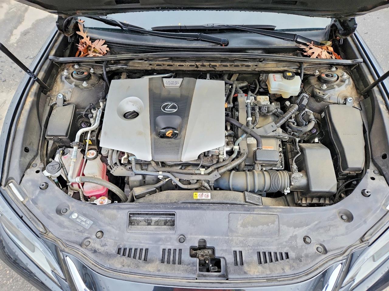 2020 Lexus Es 300h