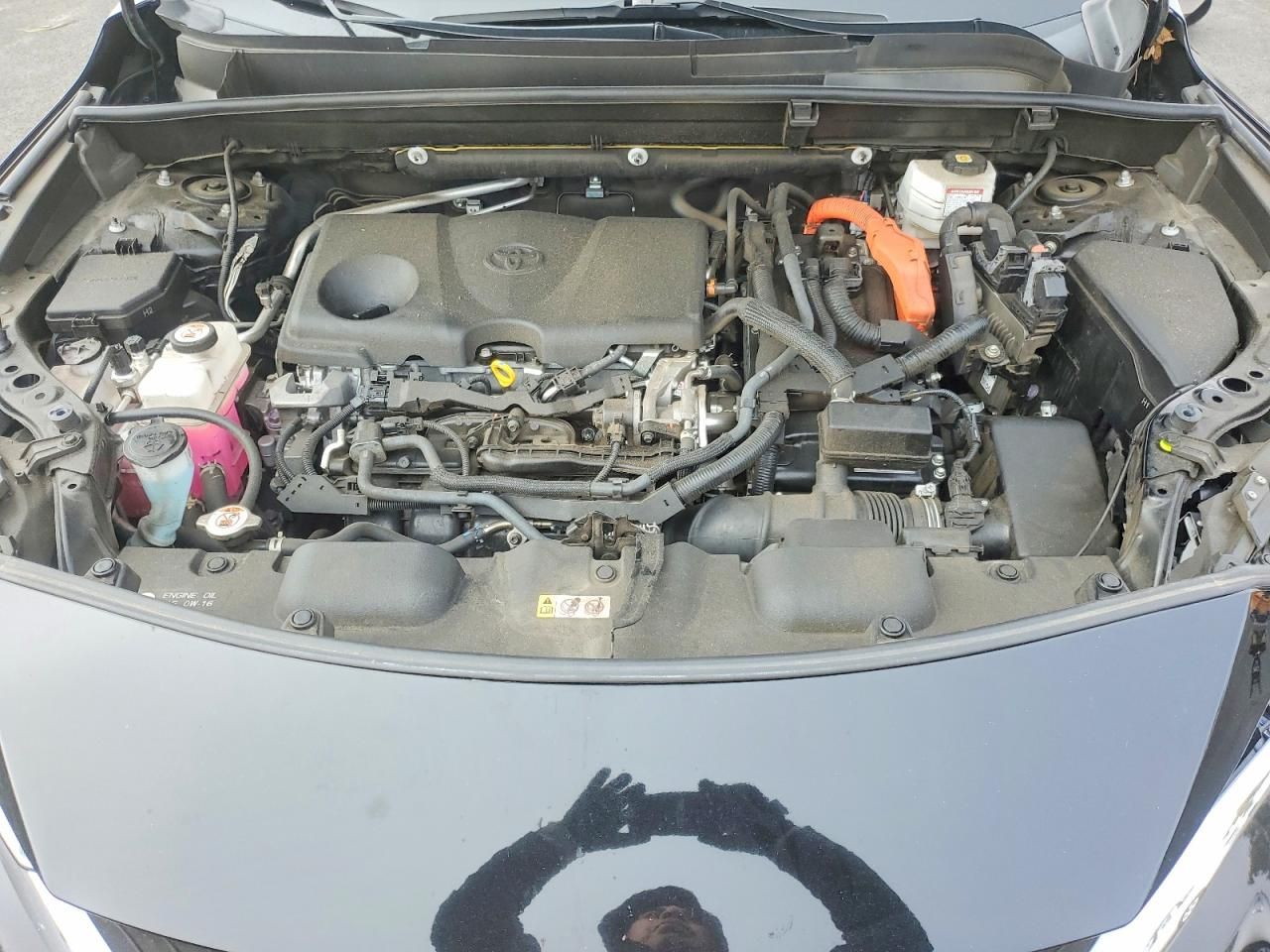 2021 Toyota Venza le