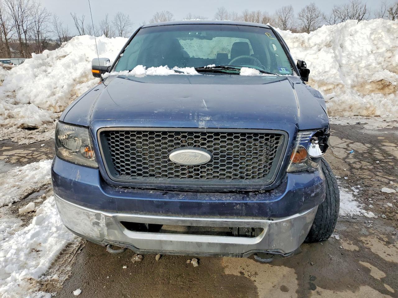 2006 Ford F150