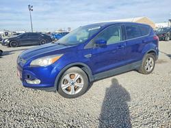 2015 Ford Escape se for sale in Brighton, CO
