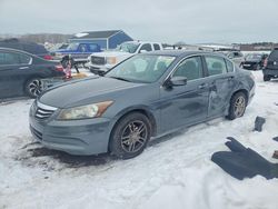 Honda Accord salvage cars for sale: 2011 Honda Accord lxp