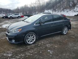 Lexus hs salvage cars for sale: 2010 Lexus Hs 250h