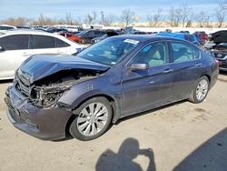 Honda Accord salvage cars for sale: 2015 Honda Accord exl