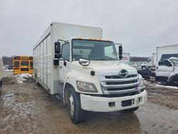 New arrivals for sale at auction: 2016 Hino 338 BOX Truck