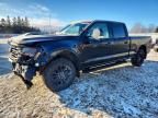 2024 Ford F150 xlt