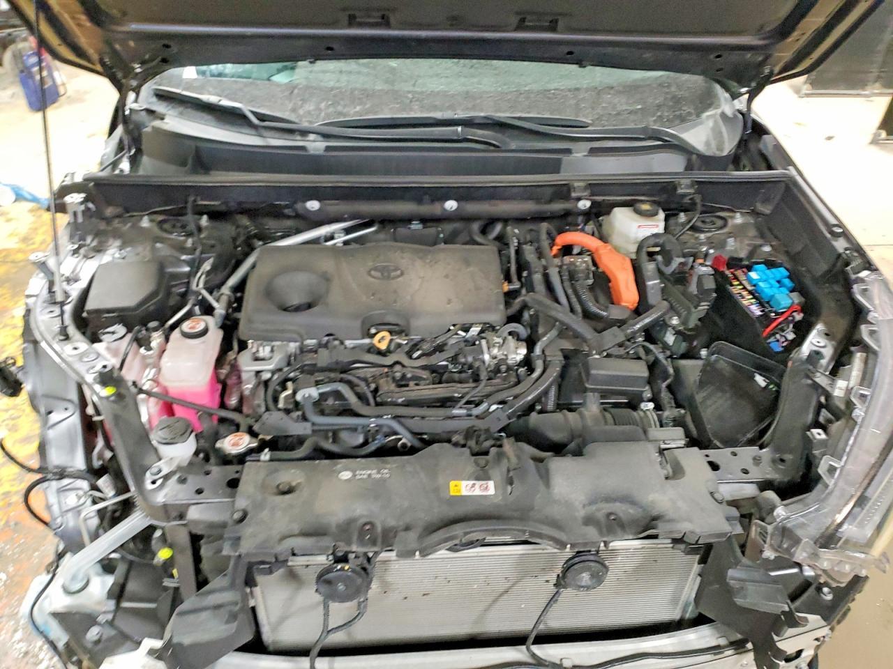 2024 Toyota Rav4 xse