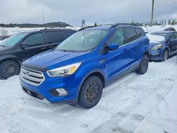 Ford salvage cars for sale: 2018 Ford Escape sel