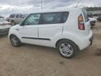 2010 KIA Soul +