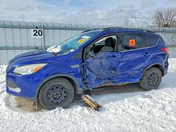 Ford Escape salvage cars for sale: 2013 Ford Escape se