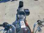2023 Harley-Davidson Fxst